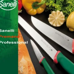 Sanelli Premana Coltello Spelucchino In Acciaio inox AISI425 - Polipropilene