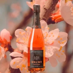 Selection Brut Grand Rosè Nuance Champagne AOC Rosé Encry