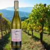 Stilema Greco di Tufo DOCG 2018 Cantine Mastroberardino
