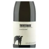 Trentenare Paestum IGP Fiano 2024 San Salvatore 1988