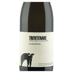 Trentenare Paestum IGP Fiano 2024 San Salvatore 1988