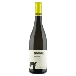 Trentenare Paestum IGP Fiano 2024 San Salvatore 1988
