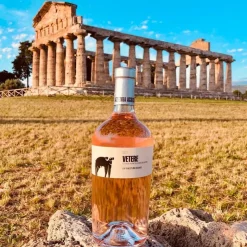 Vetere Paestum IGP 2023 Cantina San Salvatore 1988