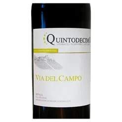 Via Del Campo Irpinia DOC 2023 Cantina Quintodecimo