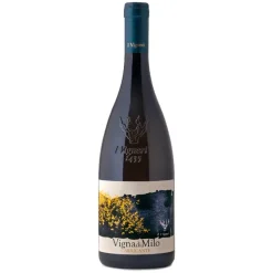 Vignadimilo Etna DOC 2020 Magnum I Vigneri Di Salvo Foti