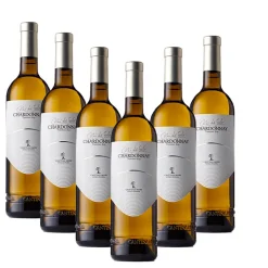 Vini Del Geso Chardonnay Trentino DOP 2021 Cantina Mori Colli Zugna