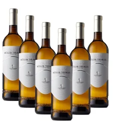 Vini Del Geso Trentino DOC 2021 Cantina Mori Colli Zugna