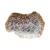 30x20 cm - Tognana Reef Piatto Vassoio Rettangolare In Porcellana - Set 6 Pz