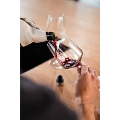 Zwilling Fresh & Save Set Tappi Salva Vino In Acciaio Inox - Set 3 Pz